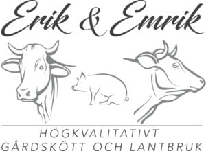 Erik o Emrik
